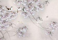 李清照描写桐花最深情的一次，通篇如诗如画，成就桐花的千古美名