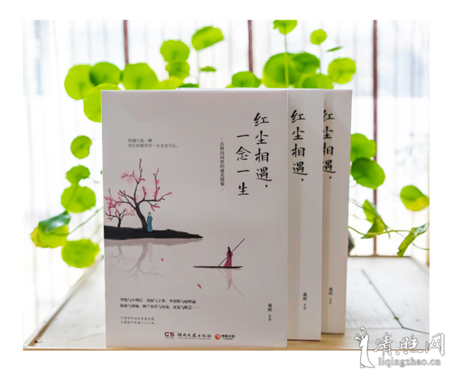红尘相遇,一念一生(唯美讲述《中国诗词大会》热门诗人词人苏轼