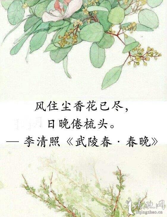 2020-02-04 来源:百家号 作者:青梅煮酒竹林听雨
