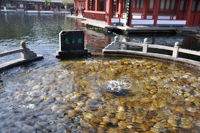 1582606264381086820.jpg 1256918170991.jpg