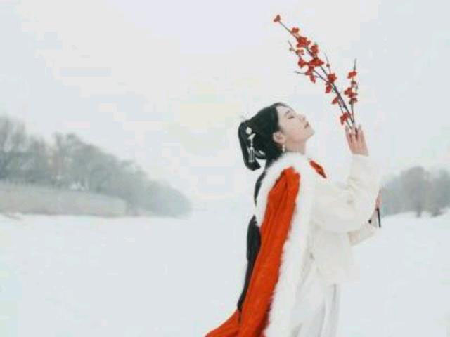 1582637534412053417.jpeg 9a504fc2d562853595ec0c0b7b7d37c0a7ef6321.jpeg