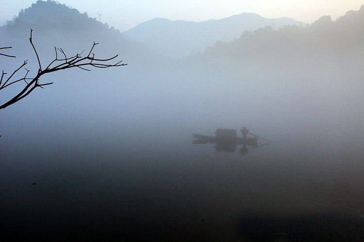 1582883468209071096.jpeg 1000-217.jpeg