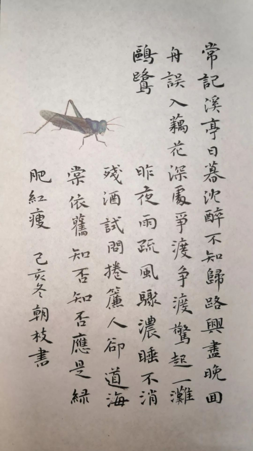 林朝枝毛笔小楷李清照、欧阳修、周邦彦词(字径1CM) 